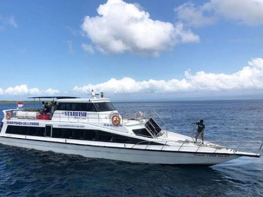 Starfish Fast Cruise