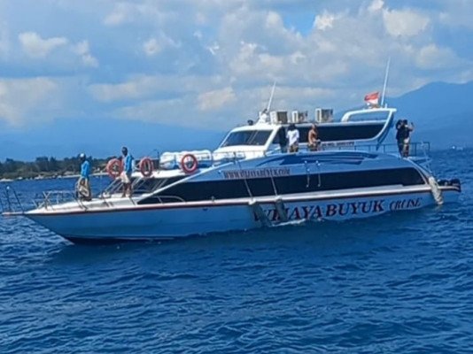 Wijaya Buyuk Cruise